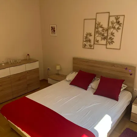 Orchid House Belgrado