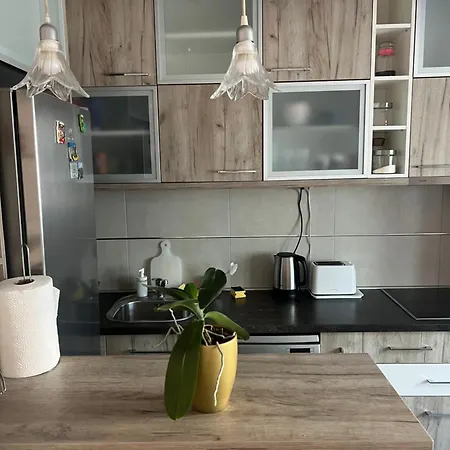 Orchid House Apartamento Belgrado