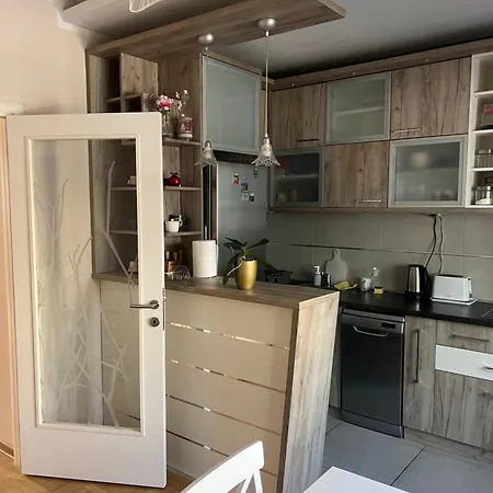 Orchid House Belgrado