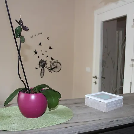 Daire Orchid House Belgrad