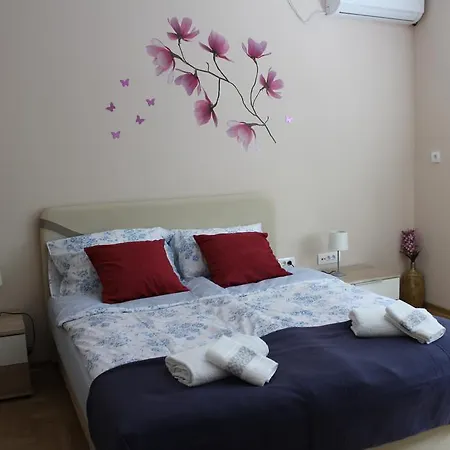 Orchid House Belgrad