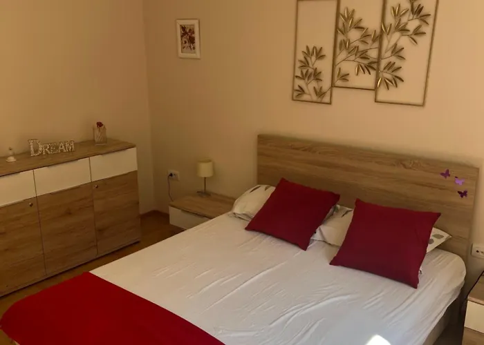 Orchid House ベオグラード