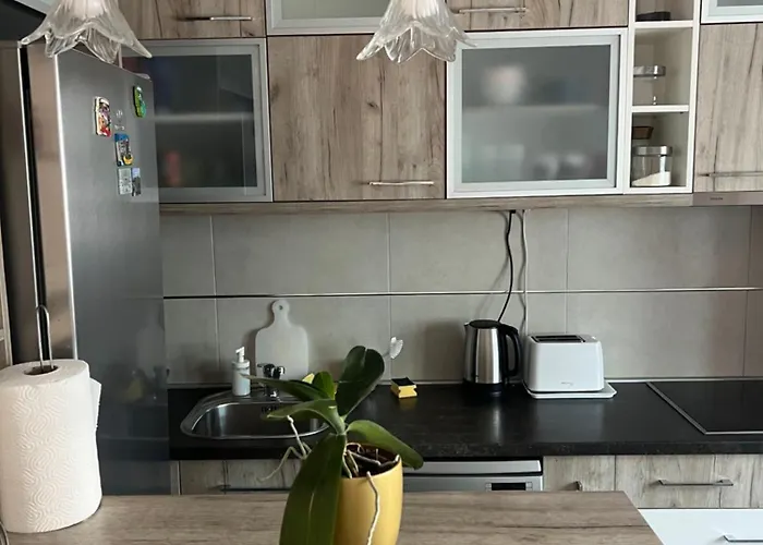 Orchid House Apartmán Bělehrad