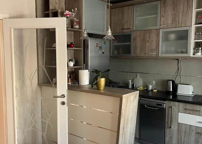 Orchid House Bělehrad