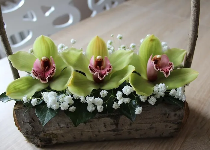 Orchid House * Bělehrad